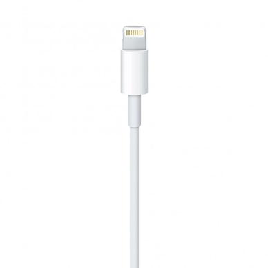 Apple cable USB-A - Lightning 1m Baltas (MXLY2ZM/A) 1