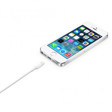 Apple cable USB-A - Lightning 1m Baltas (MXLY2ZM/A) 3