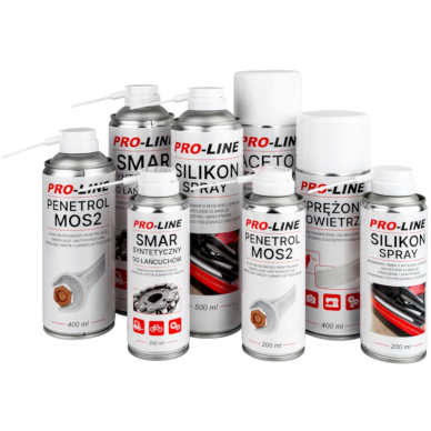 Synthetic chain lubricant PRO-LINE spray 500ml 1