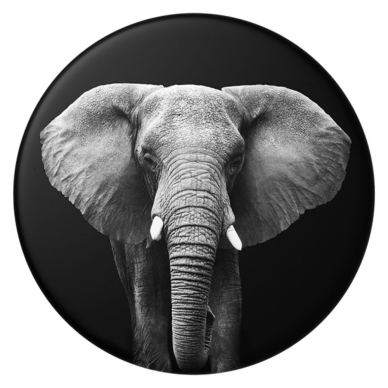 [Užsakomoji prekė] Laikiklis - Popsockets PopGrip - Loxodonta Africana 2